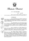 Vista preliminar de documento RD N° 457-2019.pdf