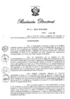 Vista preliminar de documento RD N° 461-2019.pdf