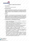 Vista preliminar de documento Servicio de asesoría y consultoría en auditoría