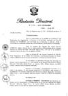 Vista preliminar de documento RD N° 256-2019.pdf