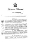 Vista preliminar de documento RD N° 294-2019.pdf