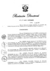Vista preliminar de documento RD N° 295-2019.pdf