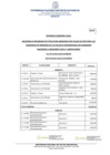 Vista preliminar de documento ANEXO RR N.º 007829-2021.