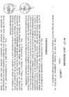 Vista preliminar de documento RD N° 189-2019.pdf