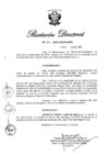 Vista preliminar de documento RD N° 306-2019.pdf