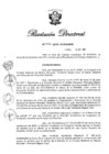 Vista preliminar de documento RD N° 466-2019.pdf