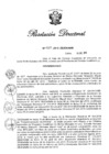 Vista preliminar de documento RD N° 469-2019.pdf