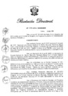 Vista preliminar de documento RD N° 476-2019.pdf