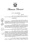 Vista preliminar de documento RD N° 489-2019.pdf