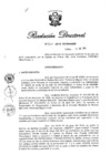 Vista preliminar de documento RD N° 267-2019.pdf