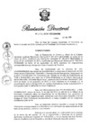 Vista preliminar de documento RD N° 272-2019.pdf