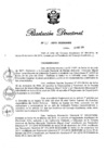 Vista preliminar de documento RD N° 131-2019.pdf