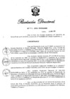 Vista preliminar de documento RD N° 132-2019.pdf
