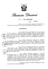 Vista preliminar de documento RD N° 141-2019.pdf