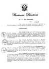 Vista preliminar de documento RD N° 142-2019.pdf