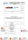 Vista preliminar de documento ANEXO: Procedimiento Interno