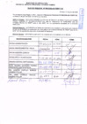Vista preliminar de documento R.D.N° 869.pdf
