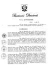 Vista preliminar de documento RD N° 243-2019.pdf