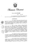 Vista preliminar de documento RD N° 266-2019.pdf
