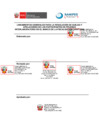Vista preliminar de documento ANEXO: [PN] Lineamiento