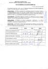 Vista preliminar de documento R.D.N° 941.pdf