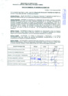 Vista preliminar de documento R.D.N°949.pdf