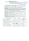 Vista preliminar de documento R.D.N°950.pdf