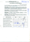 Vista preliminar de documento R.D.N°951.pdf
