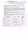 Vista preliminar de documento R.D.N° 981.pdf
