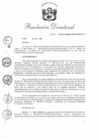 Vista preliminar de documento RD91-2018-PNSU
