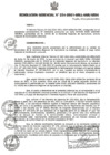 Vista preliminar de documento RESOLUCION GERENCIAL N°234 -2021 GRLL-GGR-GRSA.PDF