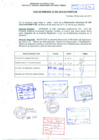 Vista preliminar de documento R.D.N°002.pdf