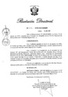 Vista preliminar de documento RD. 251-2018.pdf
