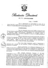 Vista preliminar de documento RD. 253-2018.pdf