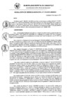 Vista preliminar de documento RG_212-2021