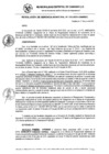 Vista preliminar de documento RG_310-2021