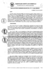 Vista preliminar de documento RG_141-2021