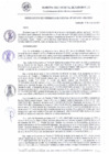 Vista preliminar de documento RG_247-2021