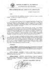 Vista preliminar de documento RG_312-2021