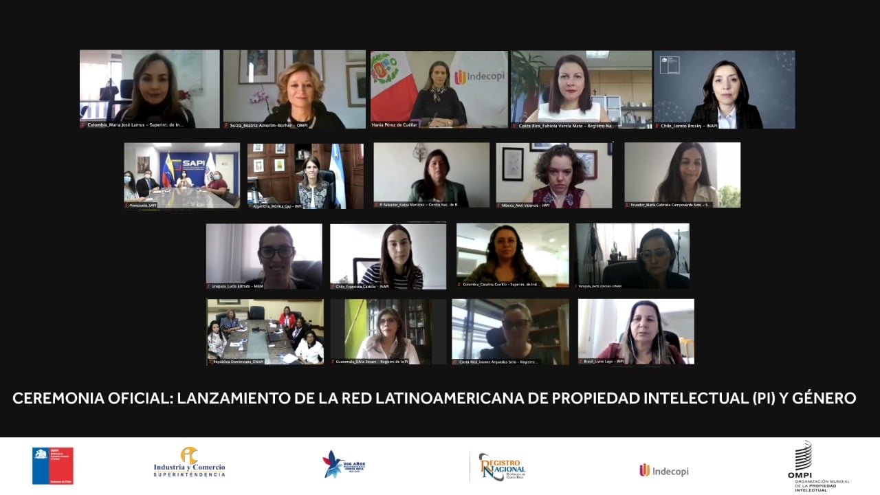 Red PI y Género. Representantes de las oficinas de Argentina, Brasil, Chile, Colombia, Costa Rica, Ecuador, El Salvador, Guatemala, Honduras, México, Paraguay, República Dominicana, Uruguay, Venezuela, Cuba y Perú.