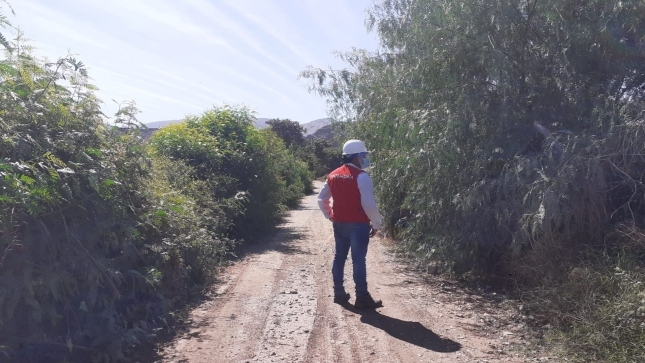 Imagen JPG de colaborador de la Contraloría supervisando trabajo de limpieza en camino vecinal en Nasca, Ica.