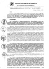 Vista preliminar de documento RG_323-2021.pdf
