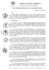 Vista preliminar de documento RG_315_2021.pdf