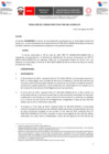 Vista preliminar de documento Resolución
