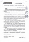 Vista preliminar de documento rd009_2019.pdf
