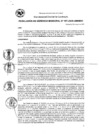 Vista preliminar de documento RG_167-2020.pdf