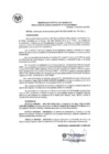 Vista preliminar de documento resolucion-gerencia-102-2020-mdc