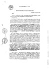 Vista preliminar de documento RG_266-2020.pdf