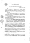 Vista preliminar de documento RG_271-2020.pdf