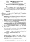 Vista preliminar de documento RG_544-2020.pdf